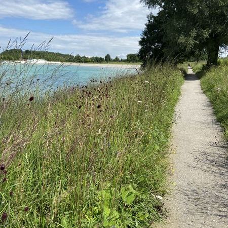 Wildkräuterführung im Riemer Park München