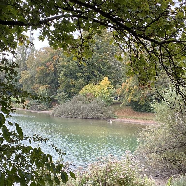 Wildkräuterführung im Riemer Park München