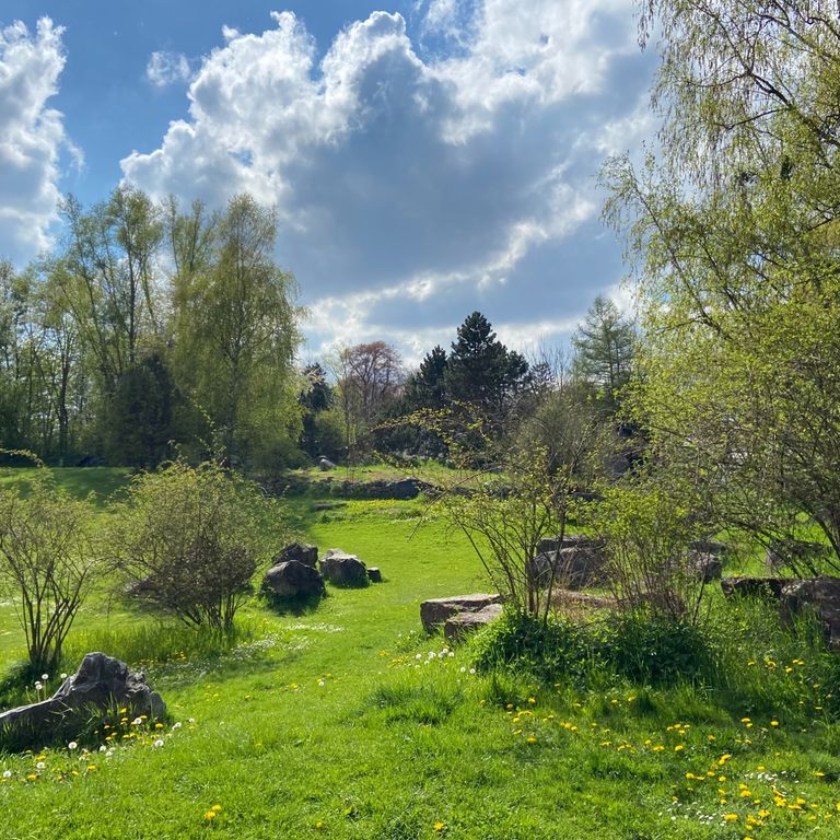 Wildkräuterführung im Riemer Park München